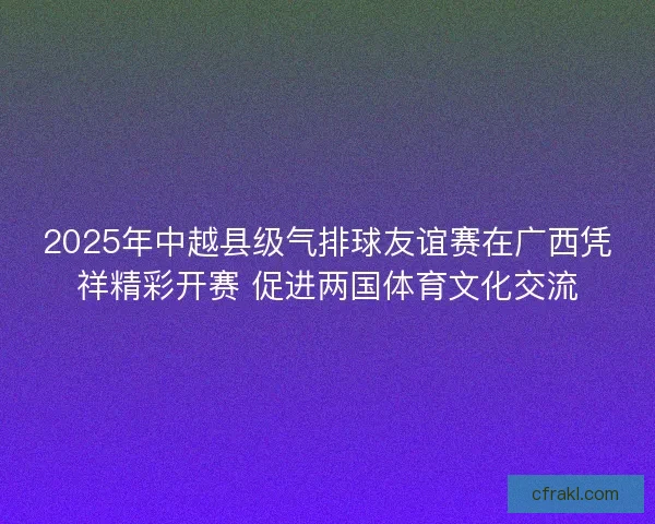 2025年中越县级气排球友谊赛在广西凭祥精彩开赛 促进两国体育文化交流